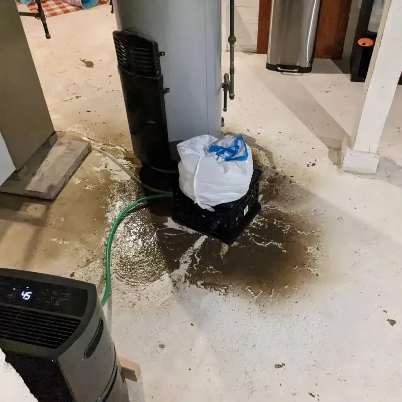 Sewage Backup Cleanup Service in Conejos County, CO